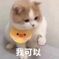 植发星怎么做你才能死