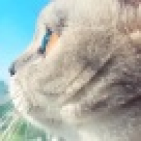 植发星欢乐萱宇