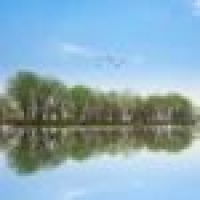 植发星爱刷lr0382