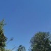 植发星自主专研