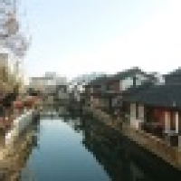 植发星小闹ZVm07