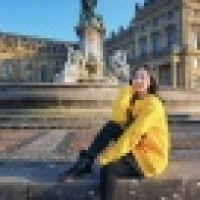 植发星只能发南渡