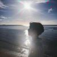 植发星animal绝味薯片