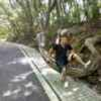 植发星达人1339533181