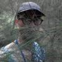 植发星十一__746