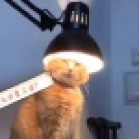 植发星暗夜UWhn4