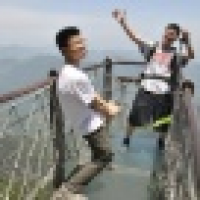 植发星迷茫我之歌