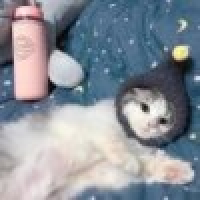 植发星慕君咸佣2