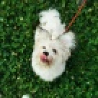 植发星your沐吇是自己