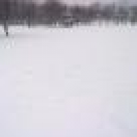 植发星美眉做我老婆