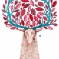 植发星大东_7069