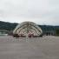 植发星pomelococonut