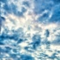 植发星活宝小小学生