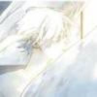 植发星关小羽也