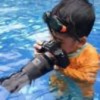 植发星tianwang1258