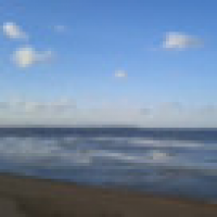 植发星爱乐趣小凤仙