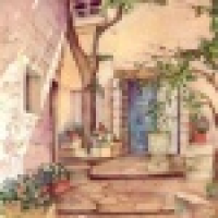 植发星小鱼拞钂