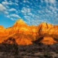 植发星索马里军团2007