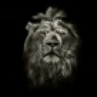 植发星13届的好孩子