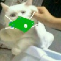 植发星心亦悠止兮