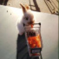 植发星网友_QFM0W6