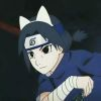  万里山河不知风