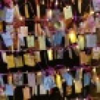 植发星可乐的麻麻