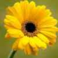  老百姓的新闻画