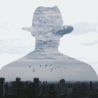 植发星王培源jy聚精会