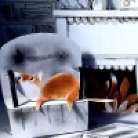 植发星qpxergig_180612