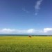 植发星空景Sadnes