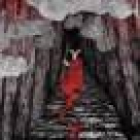 植发星學b會莣記_5421