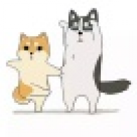 植发星chaowpoche98