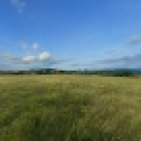 植发星Hannah_Krystal