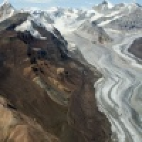 植发星鬼鬼MNmg3