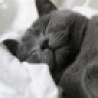 植发星不想长大的板栗虫