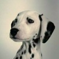 植发星sunyuanyuan2lyk