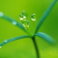 植发星Ai_唯我独尊