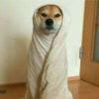 植发星张小凄99