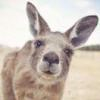 植发星zhaoloveling0