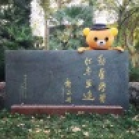 植发星saBer控vfC