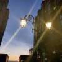 植发星夏天的丁香花啊