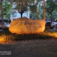 植发星不羁的笑容