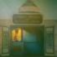 植发星叶子大爷