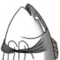 植发星陈浩喃丶E