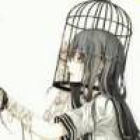 植发星猴汛谭41