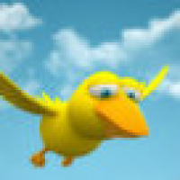 植发星紫叶凌晨