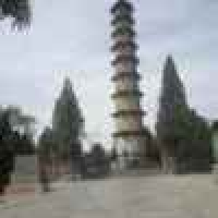 植发星网友_K8QD9C