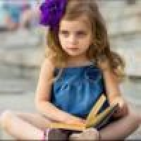 植发星狂风的木头