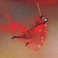 植发星青春的尾巴2015